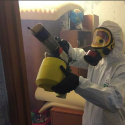 Уничтожение клопов в квартире. Угрешская